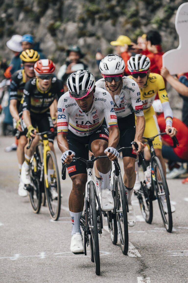 TDF-06-min TDF-06-min