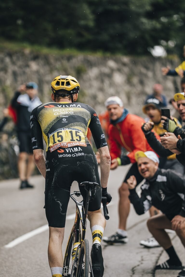 TDF-16-min TDF-16-min