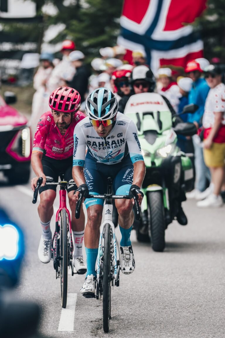 TDF-18-min TDF-18-min