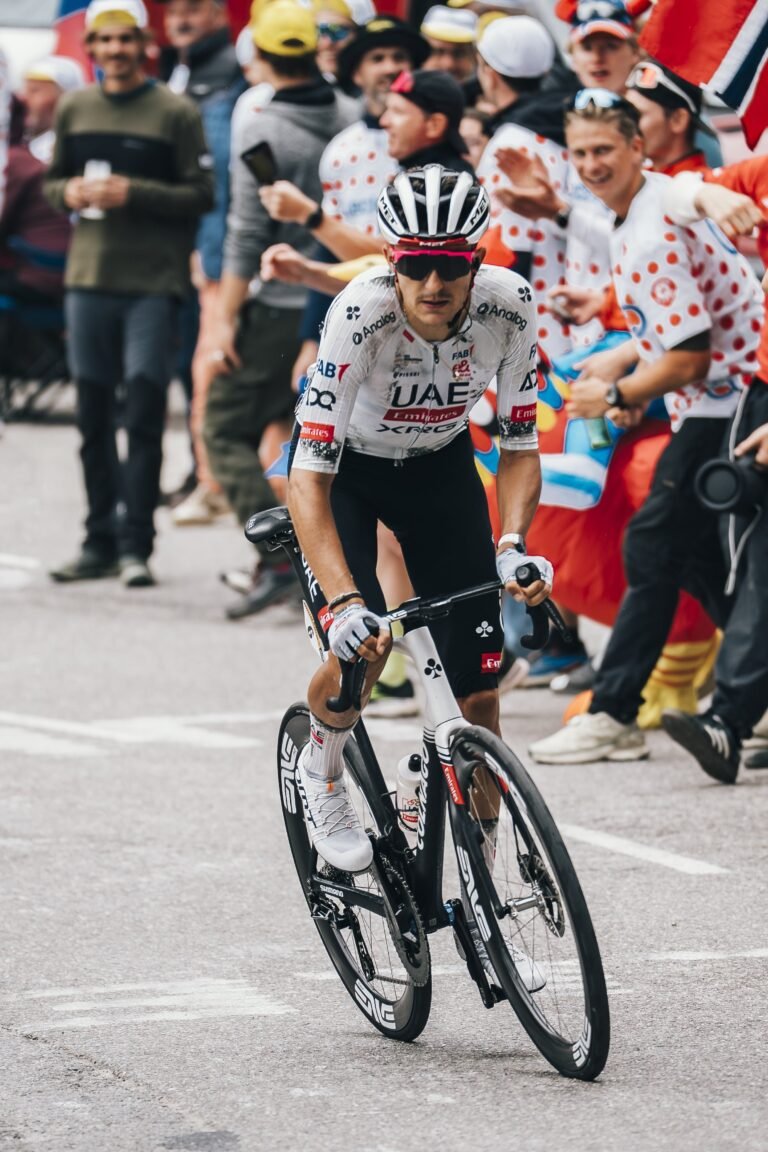 TDF-28-min TDF-28-min