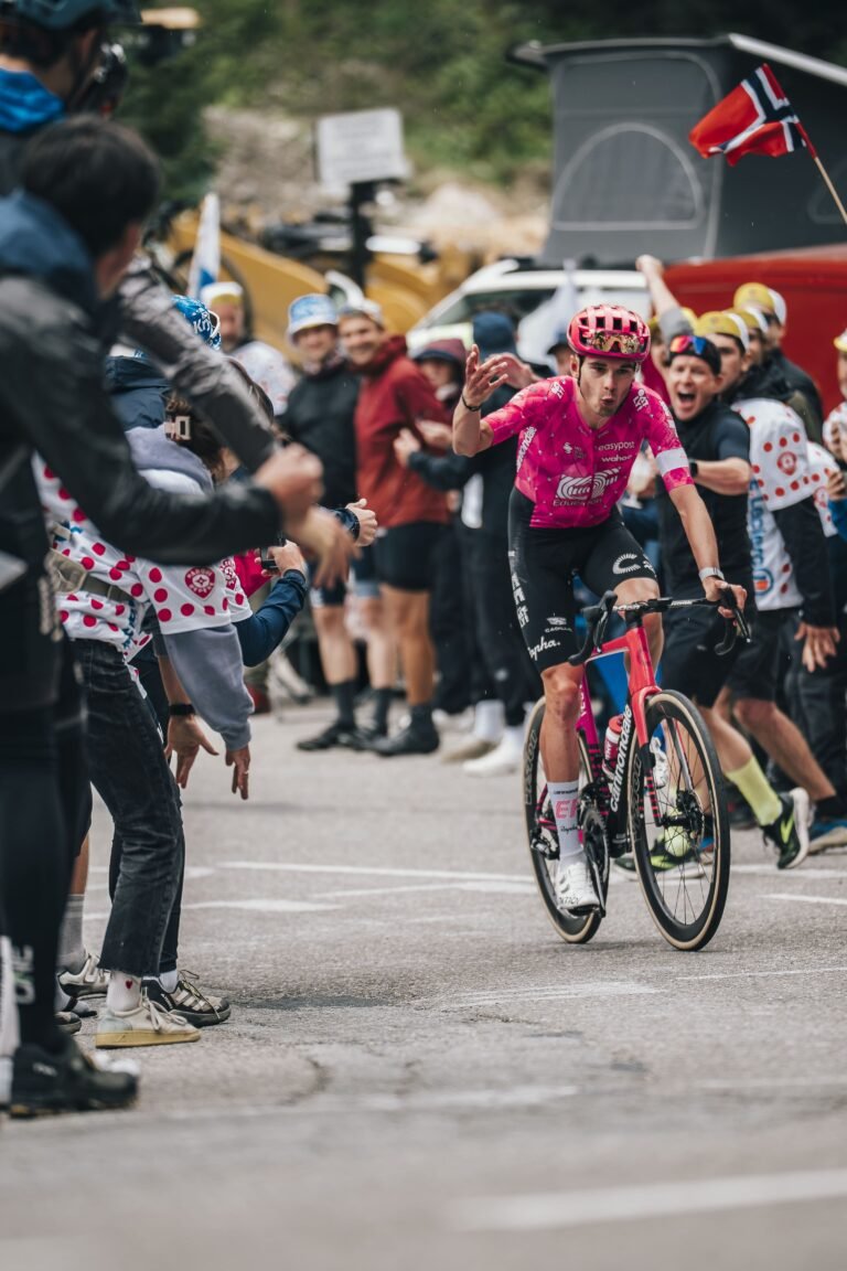 TDF-33-min TDF-33-min