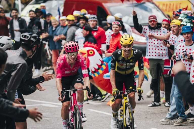 TDF-46-min TDF-46-min
