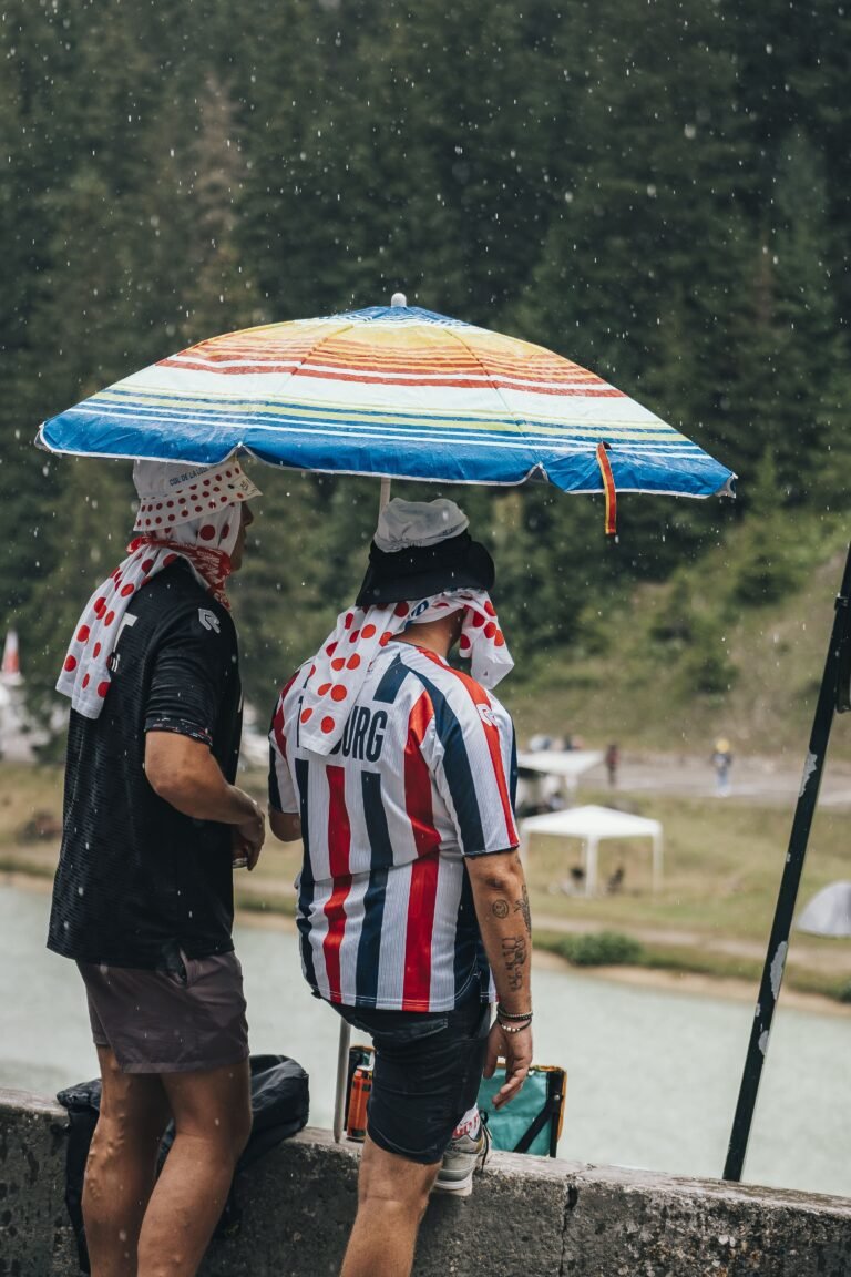 TDF-49-min TDF-49-min